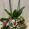 Orchida Mix Basket | Flower & Gift Delivery in Amman, Jordan – WowWard (Photo 2)