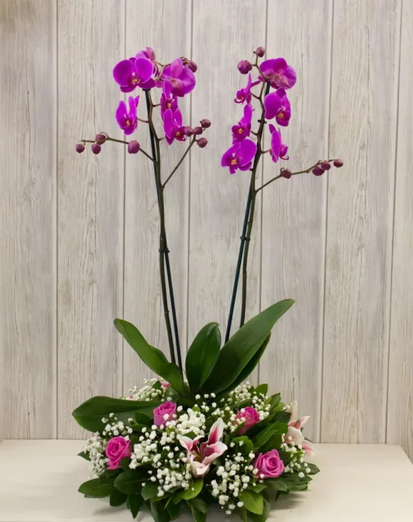 Orchida Mix Basket | Flower & Gift Delivery in Amman, Jordan – WowWard (Photo 4)