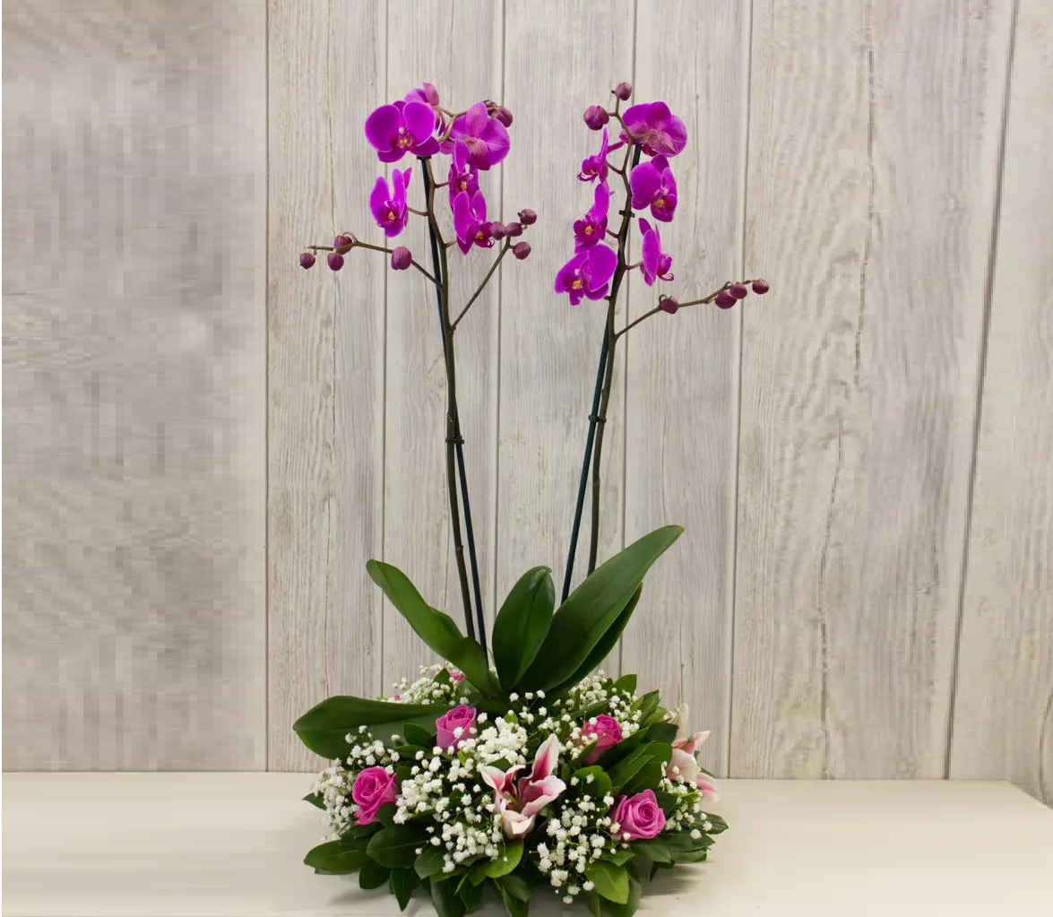 Orchida Mix Basket