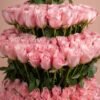 Blush Rose Royal Box | Flower & Gift Delivery in Amman, Jordan – WowWard (Photo 2)