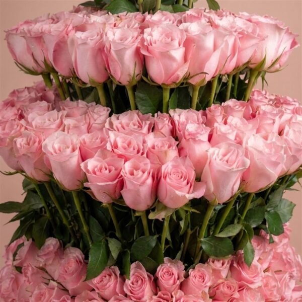 Blush Rose Royal Box | Flower & Gift Delivery in Amman, Jordan – WowWard (Photo 2)