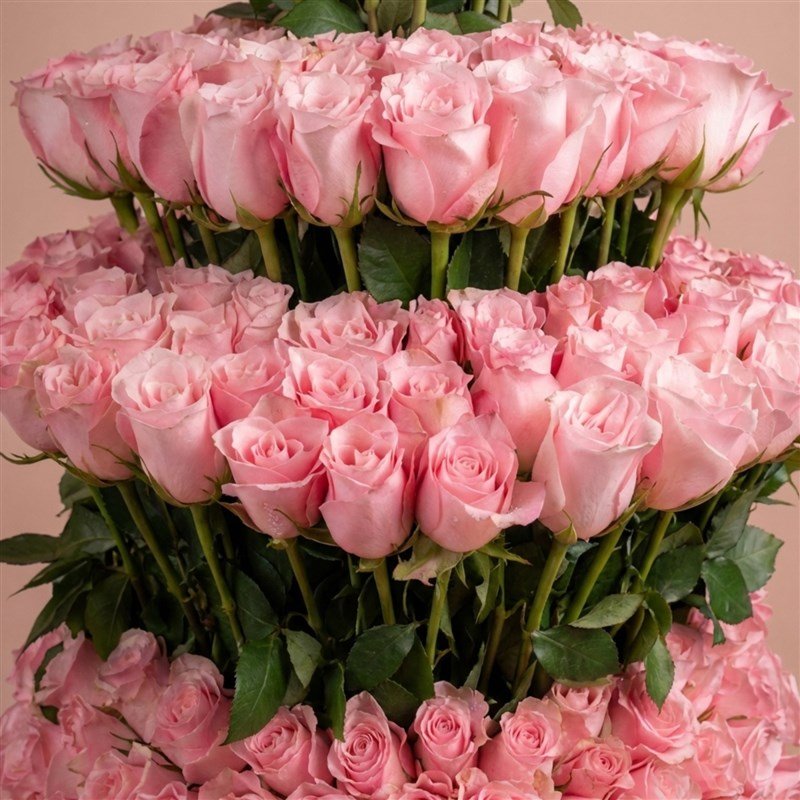 Blush Rose Royal Box product thumbnail 2