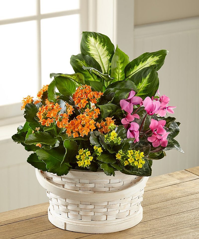Garden Bliss Basket