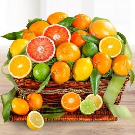 3-3.jpg Citrus Harvest