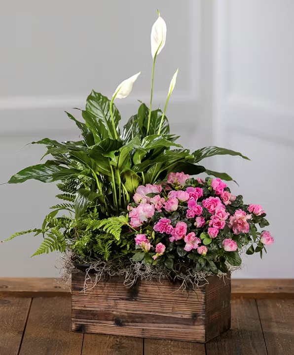 Lily Peace Garden Box product thumbnail 3