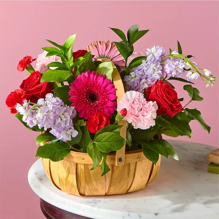 Rainbow Harmony Basket Amman | WowWard Flower & Gift Delivery
