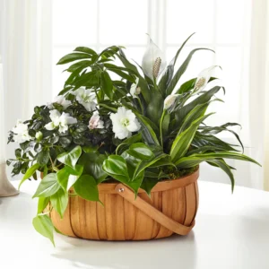 34.webp White Blossom Basket