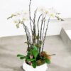4-2.jpg Royal White Orchid Bowl