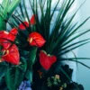Anthurium Green Basket | Flower & Gift Delivery in Amman, Jordan – WowWard (Photo 2)