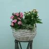5-1.webp Blooming Garden Basket