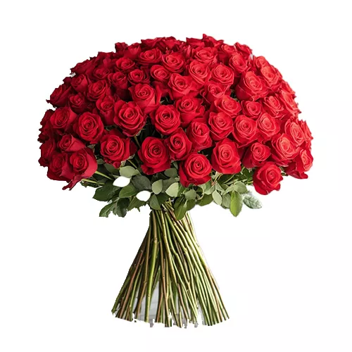 5-3.webp 100 Red Roses Grande Bouquet