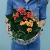 Floral Bliss Basket | Flower & Gift Delivery in Amman, Jordan – WowWard (Photo 2)