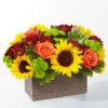 Seasonal Bloom Box Amman | WowWard Flower & Gift Delivery