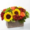 Seasonal Bloom Box | Flower & Gift Delivery in Amman, Jordan – WowWard (Photo 3)