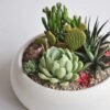 9-2.jpg Elegant Succulent Arrangement