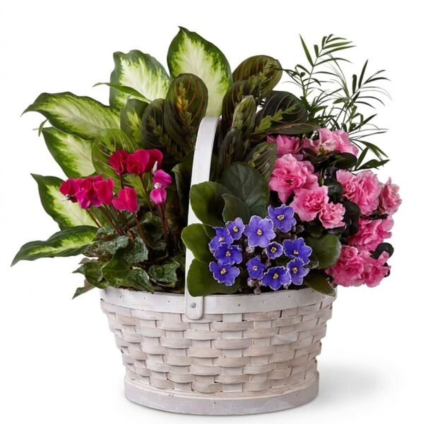 Bloom & Green Basket Bloom & Green Basket