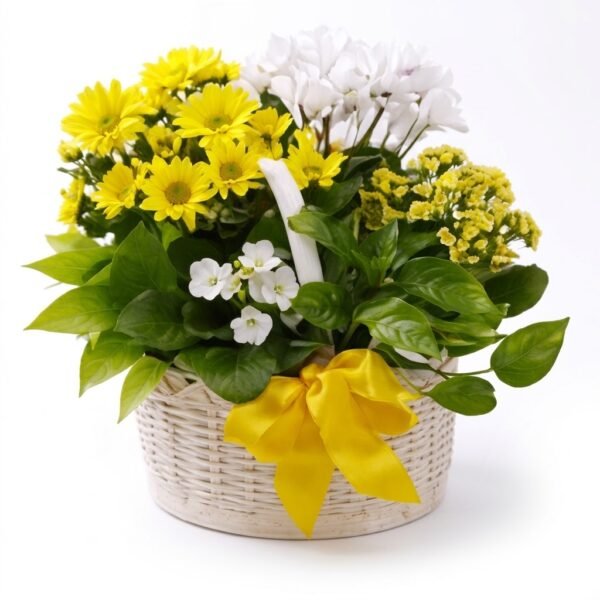 Bloomify Bloomify