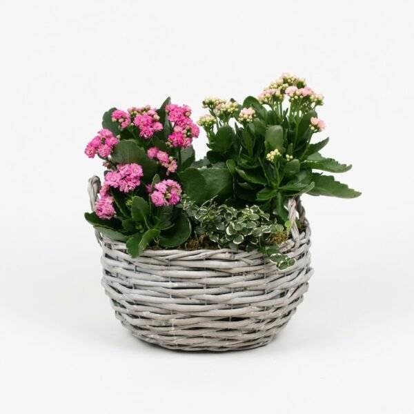 Blooming Garden Basket Blooming Garden Basket