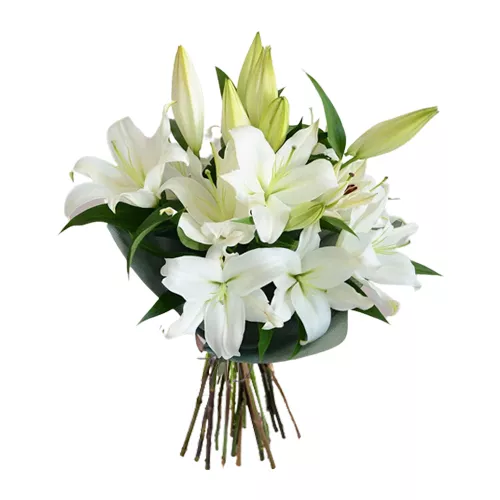 GFDE2006.webp White Grace