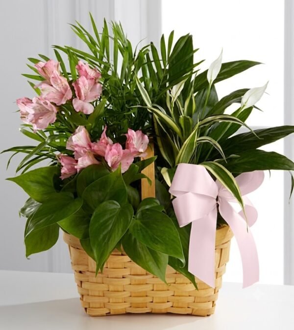 Green & Pink Delight