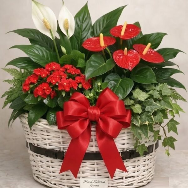 Harmony Bloom Basket Harmony Bloom Basket