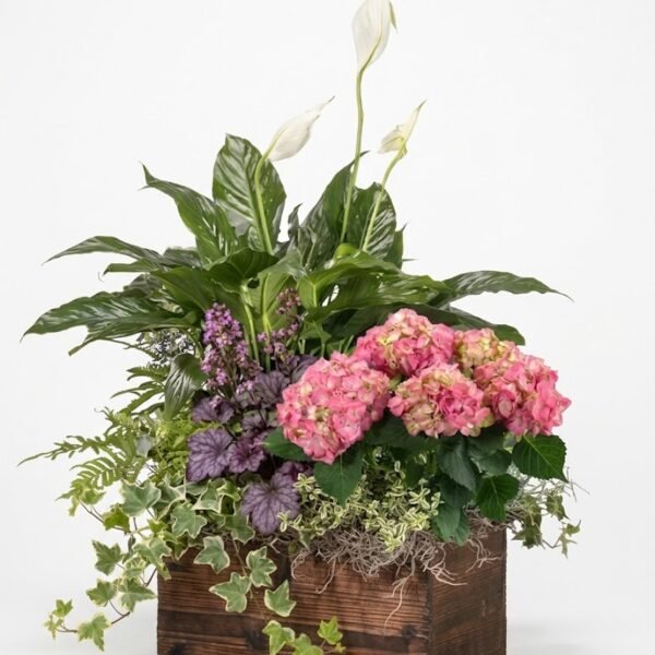 Lily Peace Garden Box: a peace lily with white blooms, pink hydrangea, purple-leaved plants, ivy and fern in a rustic wooden box