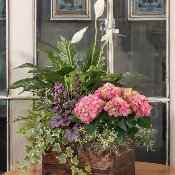 Lily Peace Garden Box Lily Peace Garden Box