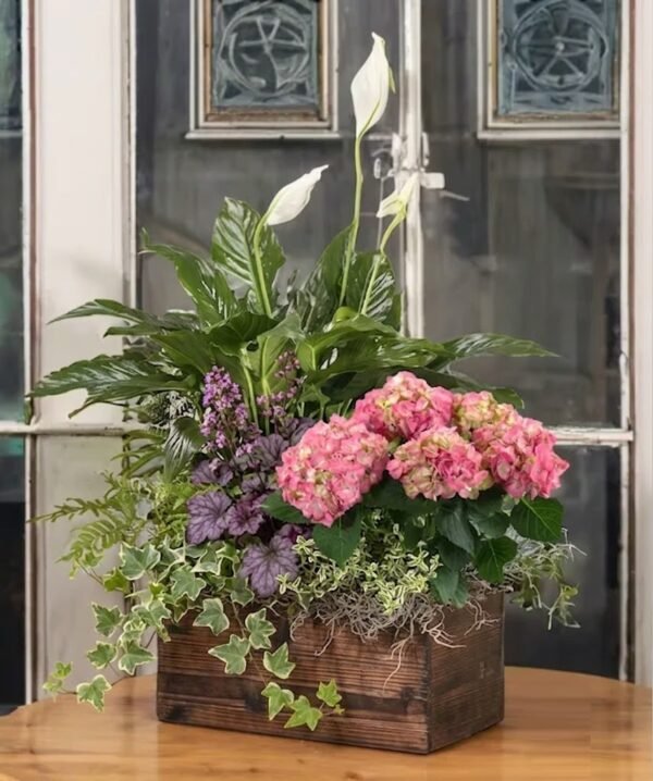 Lily Peace Garden Box