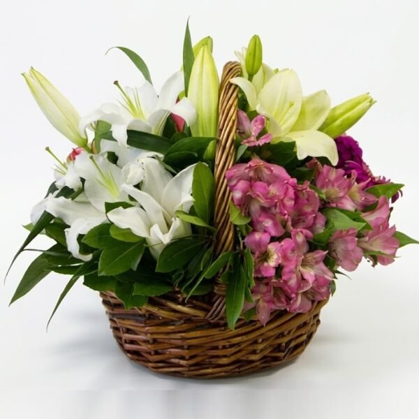 Lily Rose Basket: white and cream lilies, pink alstroemeria and a purple carnation with green leaves in a brown wicker basket with handle