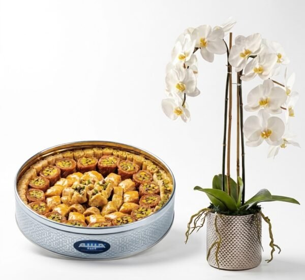Orchid Plant with Arabic Sweets Orchid Plant with Arabic Sweets: white orchid in a silver textured pot beside a round tin of pistachio baklava