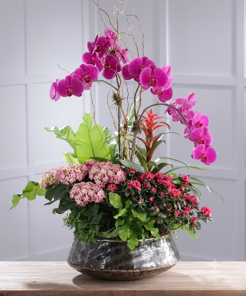 Orchidea Mix