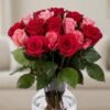 Pink & Red Rose Pink & Red Rose