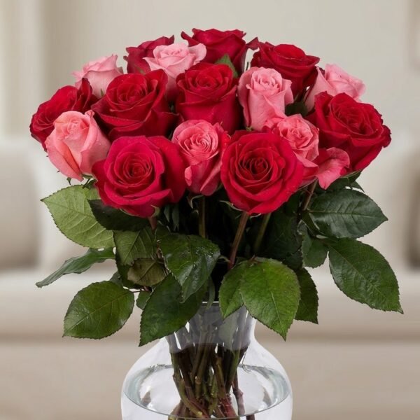 Pink & Red Rose Pink & Red Rose