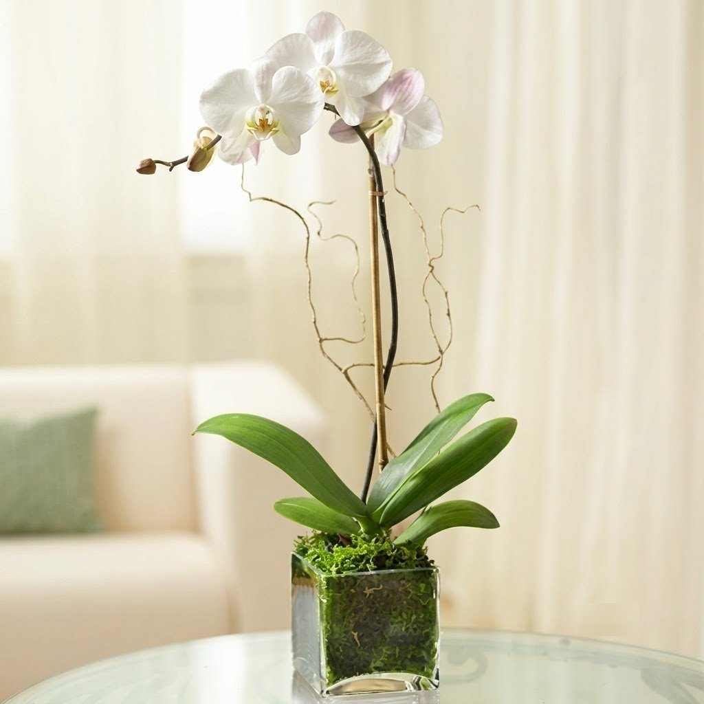 Most Beautiful Gifts for Every Occasion