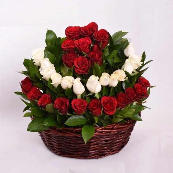 Triple Love Basket with Teddy Bear & Chocolates Triple Love Basket with Teddy Bear & Chocolates: red and white roses in rows in a wicker basket
