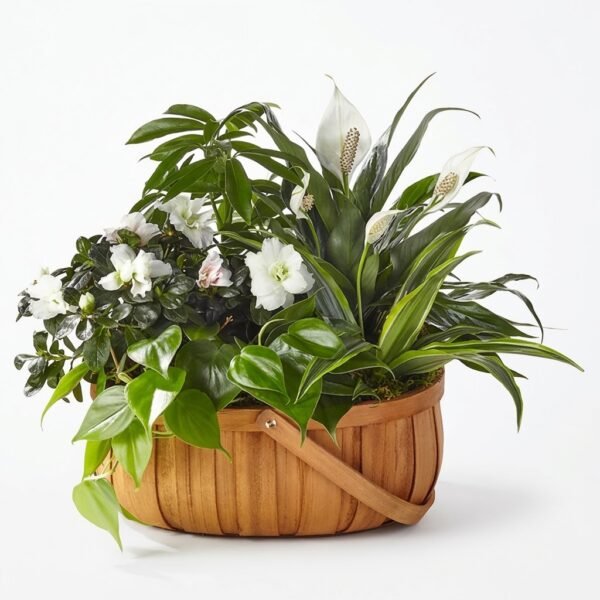 White Blossom Basket White Blossom Basket