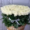 moonlight-bloom-box.jpg 100 Shades of Love