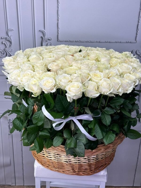 moonlight-bloom-box.jpg 100 Shades of Love