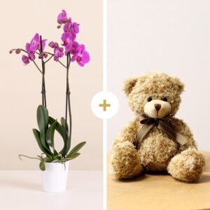 Orchid Hug