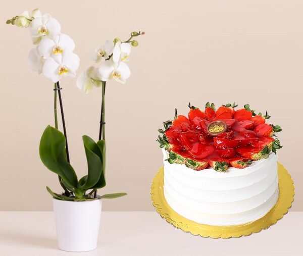 Orchid Pot & Fruit Cake