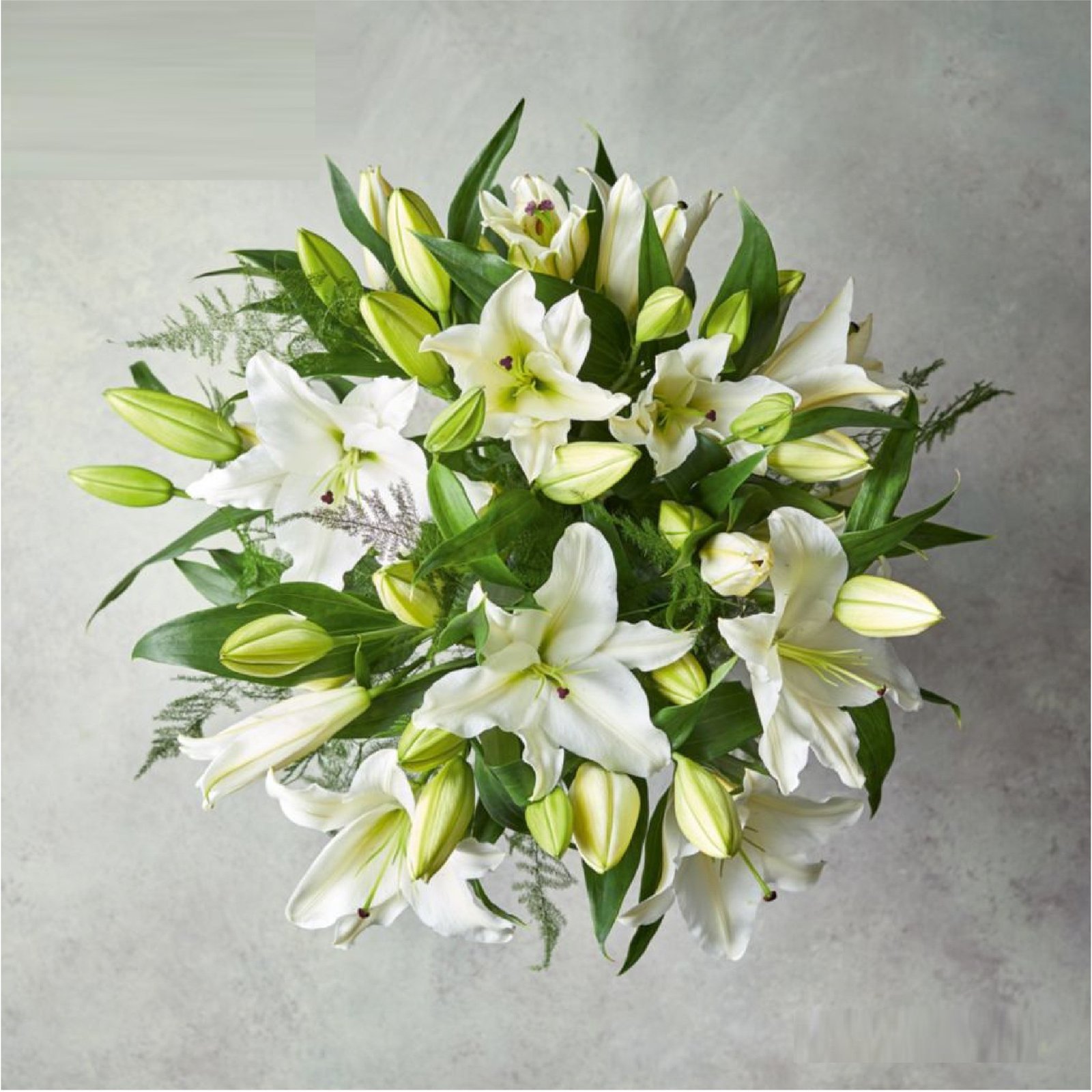 White Grace product thumbnail 2