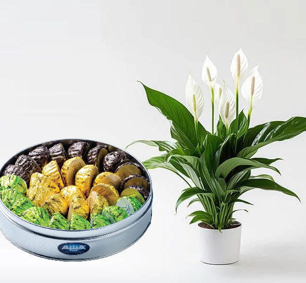 Peace Lily with Maamoul Peace Lily with Maamoul
