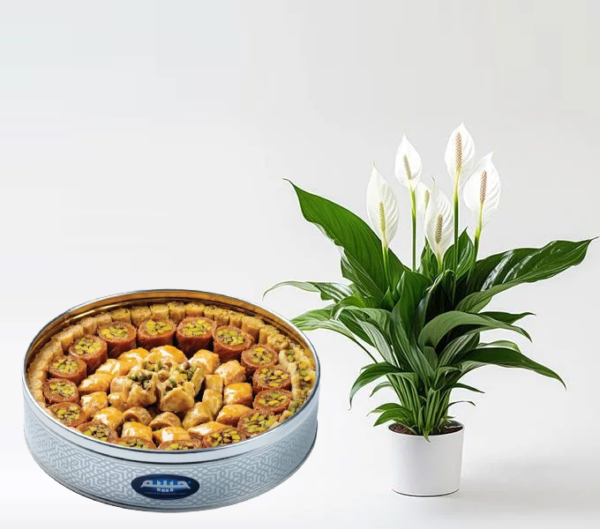 Peace Lily with Arabic Sweets Peace Lily with Arabic Sweets
