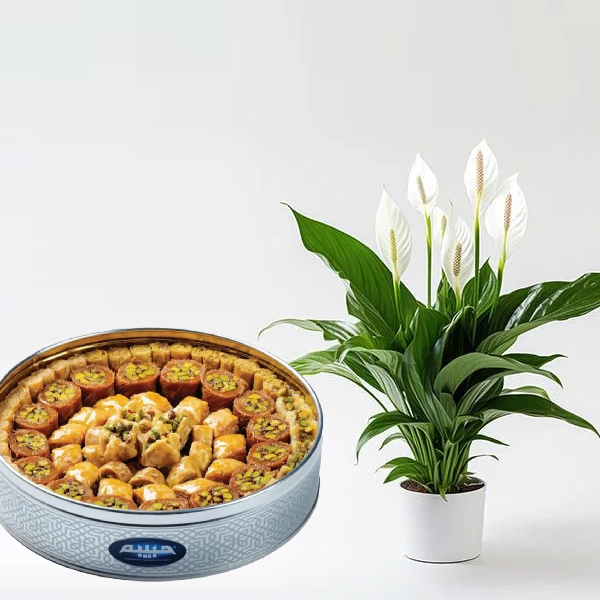 Peace Lily with Arabic Sweets Peace Lily with Arabic Sweets
