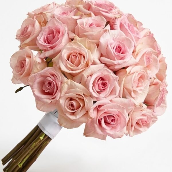 Blush Bride Bouquet Blush Bride Bouquet