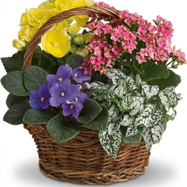 Color Bloom Basket Color Bloom Basket