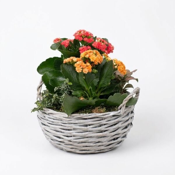 Floral Bliss Basket Floral Bliss Basket