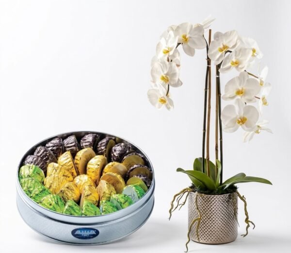 Orchid Plant with Maamoul Orchid Plant with Maamoul