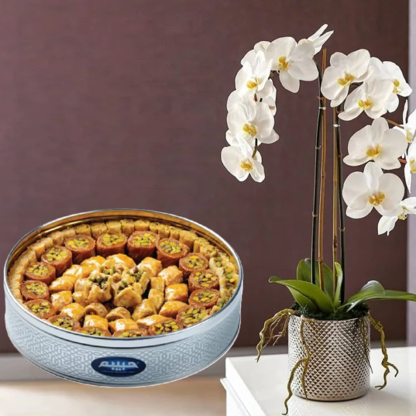 Orchid Plant with Arabic Sweets Orchid Plant with Arabic Sweets
