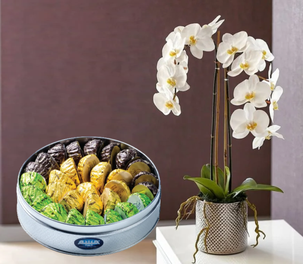 Orchid Plant with Maamoul Orchid Plant with Maamoul